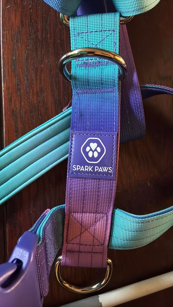 Honden tuigje, Ophalen of Verzenden, Nieuw