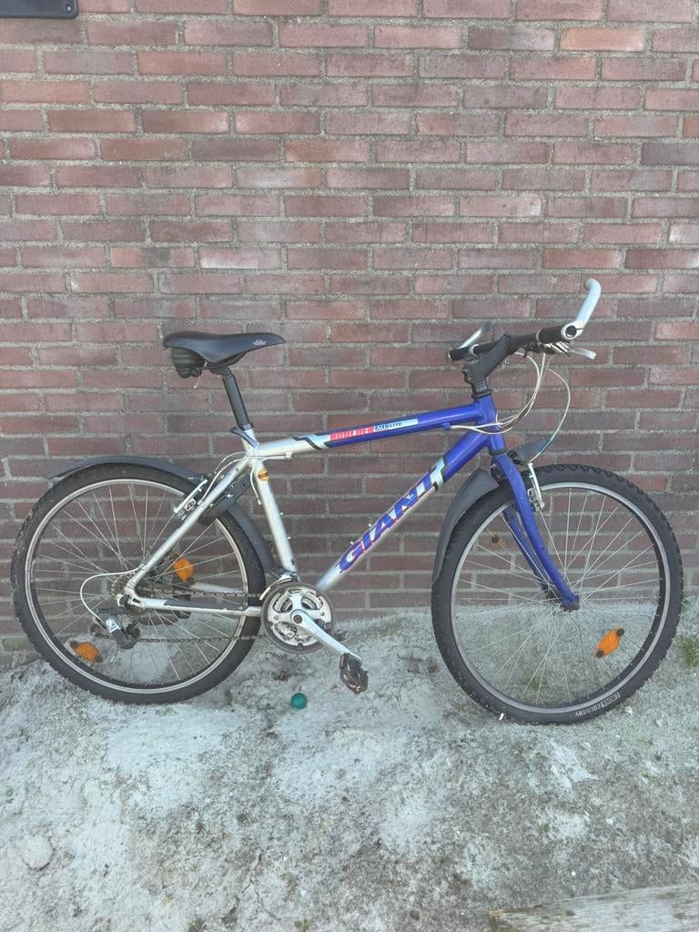 Giant Boulder Alu Lite – 19 inch mountainbike, Ophalen, Gebruikt, 26 inch, 49 tot 53 cm