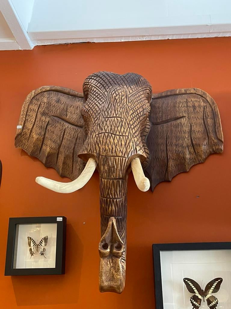 Houten olifanten hoofd, Ophalen of Verzenden