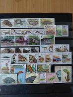 Kavel reptielen enz. Krokodillen enz., Verzenden, Buitenland