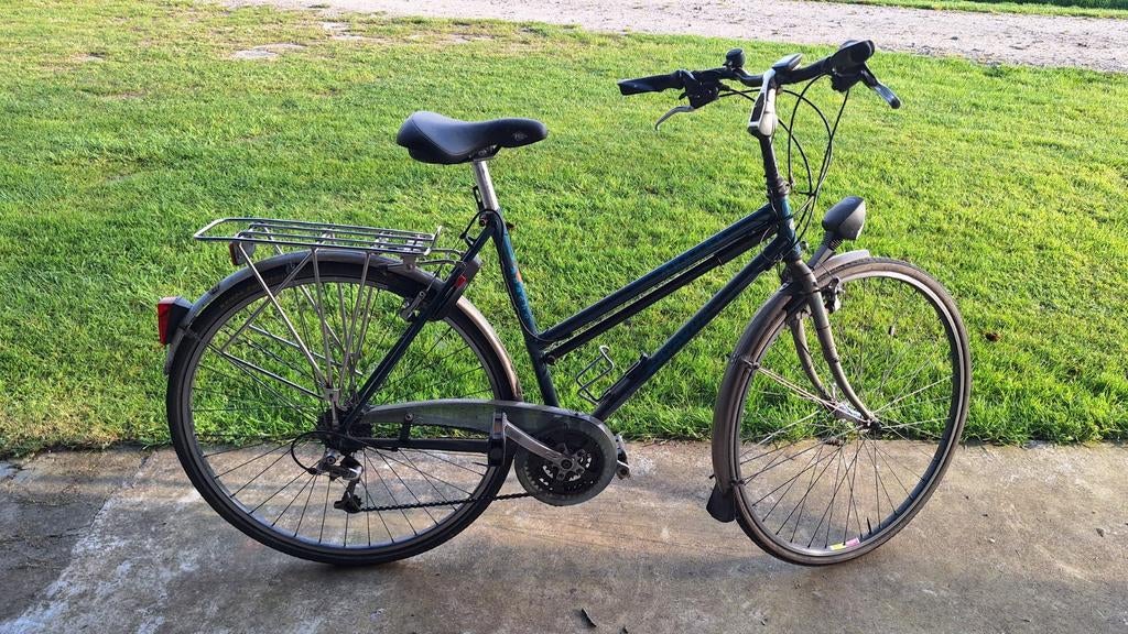 Trouwe stalen ros met karakter zoekt nieuwe eigenaar, Fietsen en Brommers, Fietsen | Dames | Damesfietsen, Ophalen