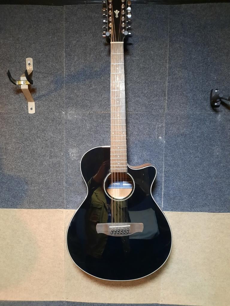 Ibanez 12-snarige Westerngitaar - Zwart, Ophalen of Verzenden, Zo goed als nieuw, Western- of Steelstringgitaar