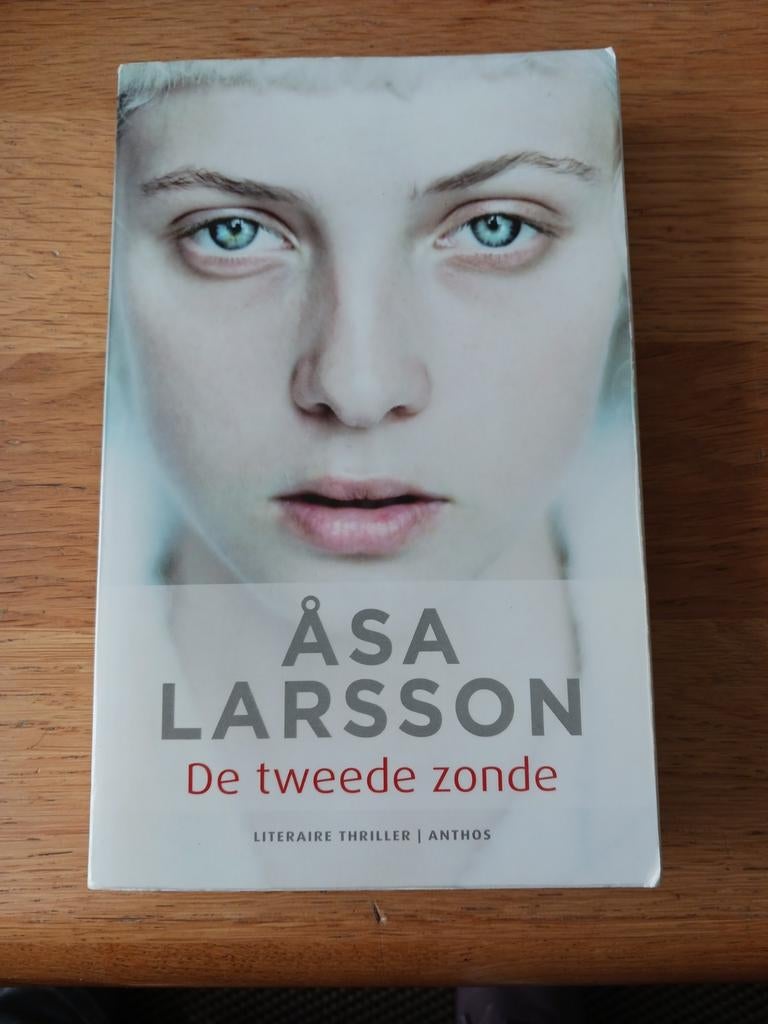 Åsa Larsson - De tweede zonde, Boeken, Thrillers, Zo goed als nieuw, Ophalen of Verzenden