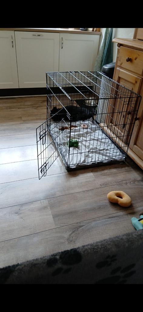 Hondenbench, Dieren en Toebehoren, Hondenhokken, Ophalen of Verzenden, Zo goed als nieuw, 75 tot 110 cm, Minder dan 65 cm