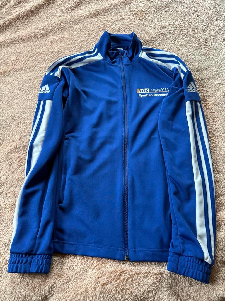 Adidas trainingsjack ROC Sport & Bewegen Nijmegen S/M, Ophalen, Blauw, Maat 36 (S), Fitness of Aerobics