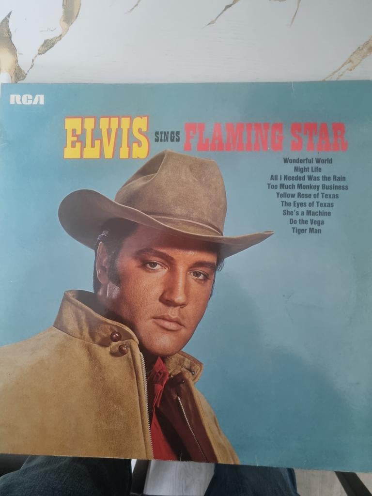 Elvis Presley sings flaming star vinyl, Cd's en Dvd's, Vinyl | Pop, Ophalen of Verzenden, 1960 tot 1980, Gebruikt, 12 inch