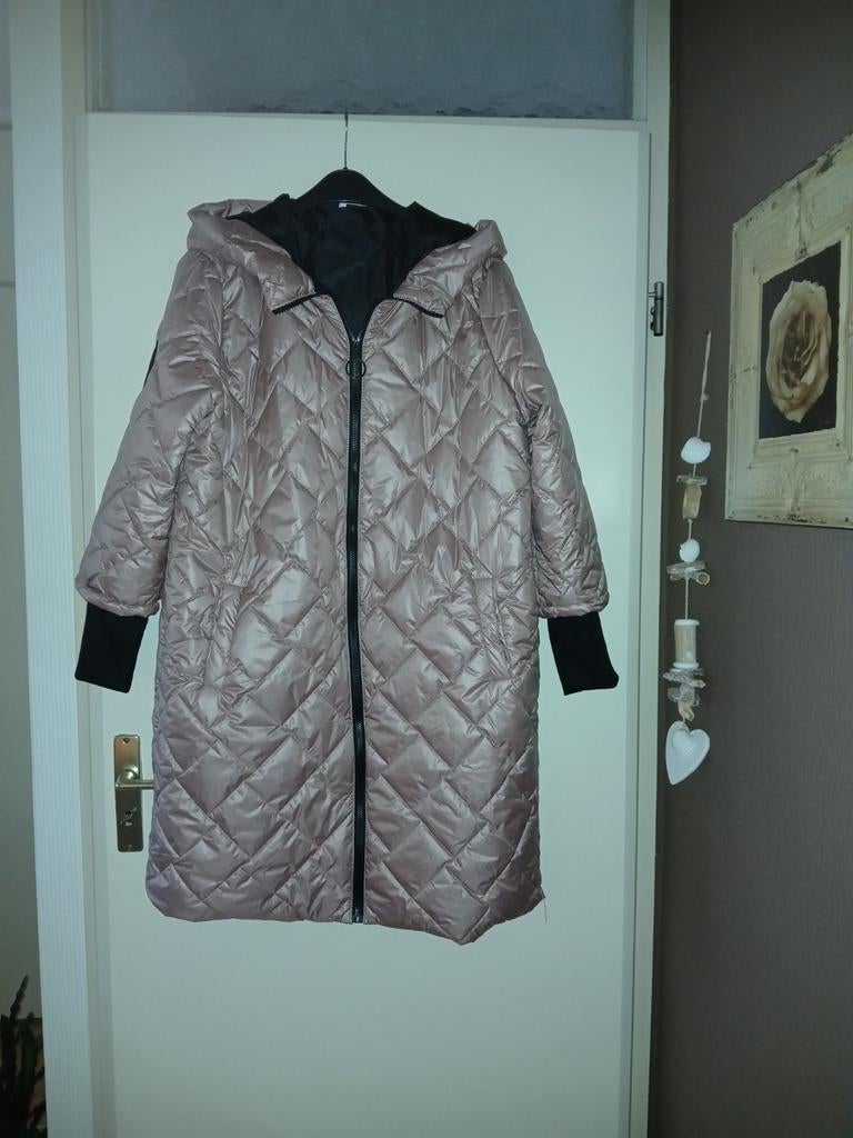 Nieuwe jas, Kleding | Dames, Jassen | Winter, Ophalen of Verzenden, Nieuw, Maat 46/48 (XL) of groter, Paars