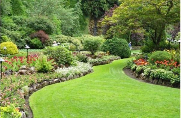 Tuinhulp aangeboden, Diensten en Vakmensen, Tuinmannen en Stratenmakers, Garantie, Tuinonderhoud of Snoeiwerk