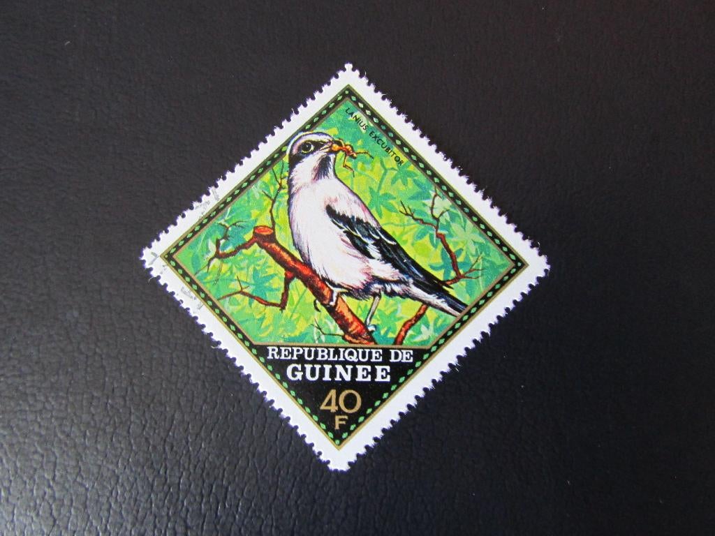 Postzegel Vogel: Klapekster uit Guinee, Ophalen of Verzenden, Gestempeld, Dier of Natuur