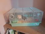 Hamster kooi goeie staat!, Dieren en Toebehoren, Knaagdieren en Konijnen | Hokken en Kooien, Kooi, Hamster, Ophalen, Minder dan 60 cm