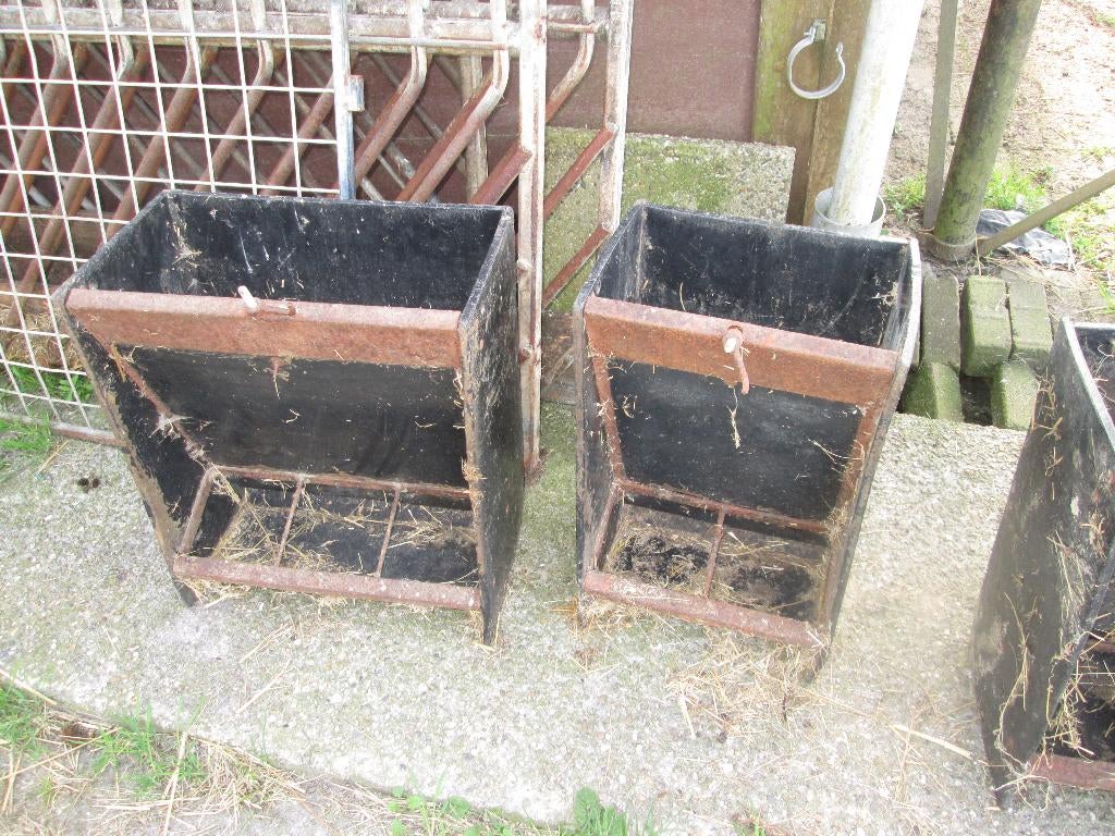 voertrog  en voerbakken, Meerdere dieren, Kip