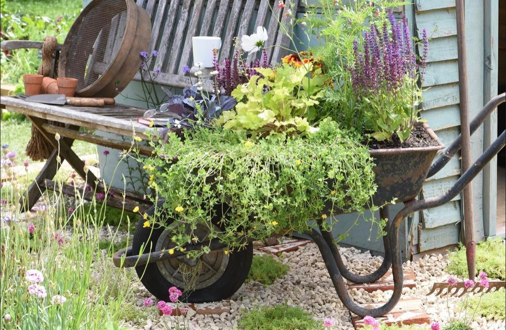 Tuin opruimen / schoonmaken -Beschikbaar!, Diensten en Vakmensen, Tuinmannen en Stratenmakers, Tuinonderhoud of Snoeiwerk
