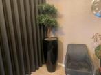 Kunstplant met hoogglans pot ca 200cm, Ophalen, Zo goed als nieuw, Binnen