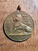 Herdenkingspenning 1913 -Nederlandse Onafhankelij, Postzegels en Munten, Penningen en Medailles, Ophalen of Verzenden