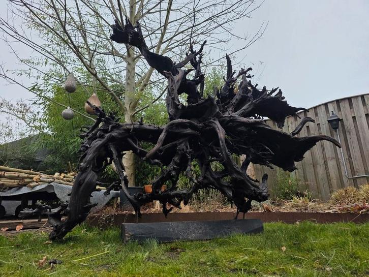 Prachtig xxxl hardhout wortelstronk uit Indonesië, Dieren en Toebehoren, Vissen | Aquaria en Toebehoren, Nieuw, Plant(en), Steen of Hout