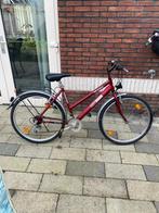 sport fiets, Fietsen en Brommers, Gebruikt, 56 cm of meer, Meer dan 20 versnellingen, Ophalen