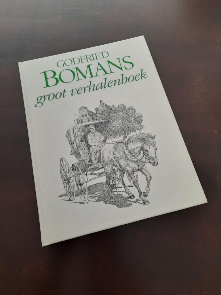 Godfried Bomans - groot verhalenboek, Boeken, Ophalen of Verzenden, Zo goed als nieuw