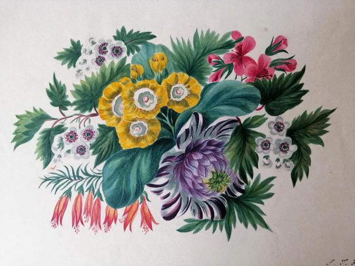 Aquarel met bloemen 19e eeuw, Antiek en Kunst, Kunst | Schilderijen | Klassiek, Ophalen of Verzenden