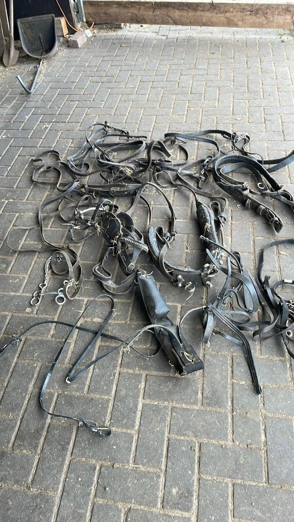 Lederen Mentuig voor Haflinger, Dieren en Toebehoren, Paarden en Pony's | Hoofdstellen en Tuigage, Ophalen of Verzenden, Gebruikt