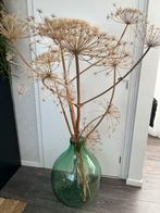 Grote glazen vaas met gedroogde berenklauw bloemen, Ophalen, Gebruikt, Glas, 75 cm of meer