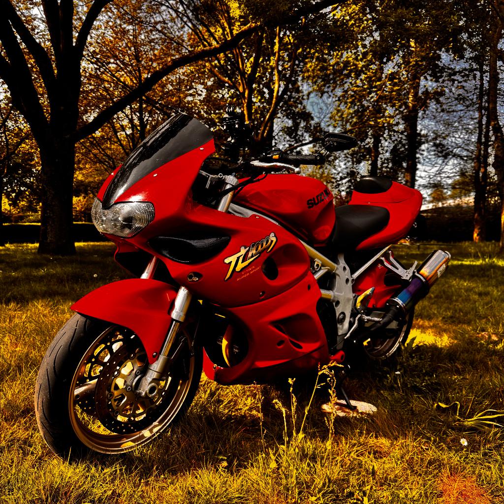 SUZUKI TL1000S – PURE V-TWIN BELEVING, Motoren, Motoren | Suzuki, 2 cilinders, Sportuitlaat, Super Sport, Particulier