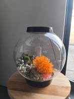Biorb classic 15 led zwart, Ophalen, Filter of Co2