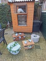 Te huur witte postduiven, Dieren en Toebehoren, Vogels | Duiven, Meerdere dieren, Postduif