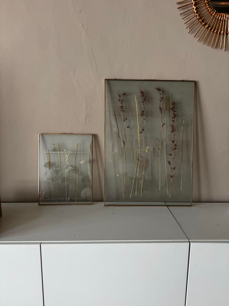 Twee gouden glazen lijsten met droogbloemen, Ophalen, Zo goed als nieuw