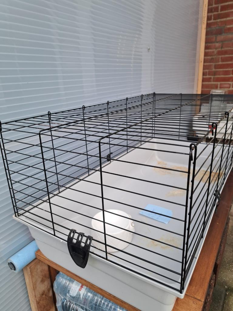 Konijnen kooi   cavia  kooi, Ophalen, Kooi, Minder dan 60 cm