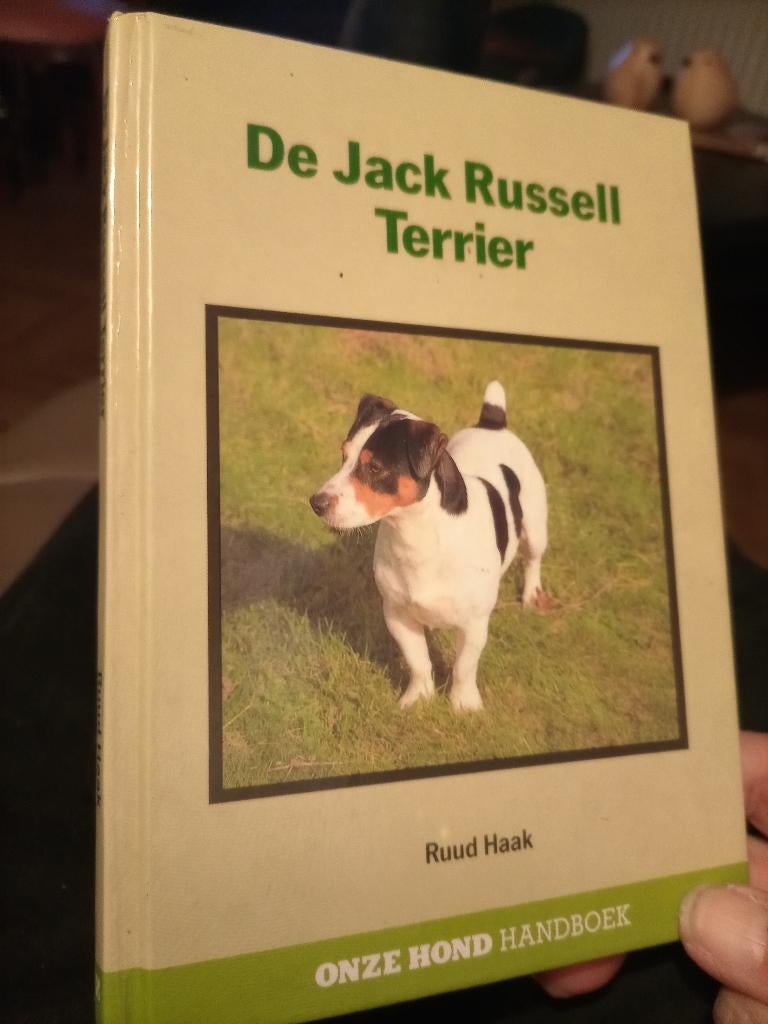 Handboek hond Jack Russell, Ophalen, Zo goed als nieuw, Honden