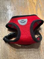 Nieuw klein hondentuigje. Voor klein hondje/puppy of kitten., Ophalen of Verzenden, Nieuw