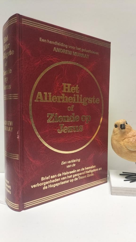 Murray, Andrew; Het Allerheiligste of Ziende op Jezus, Boeken, Ophalen of Verzenden, Gelezen, Christendom | Protestants