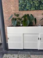 Kantoor kast met nep planten, Archief en Opbergen, Ophalen of Verzenden, Gebruikt, Kast