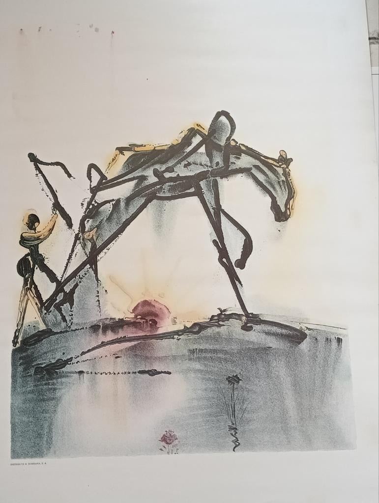 Salvador Dali Le Cheval, Ophalen of Verzenden