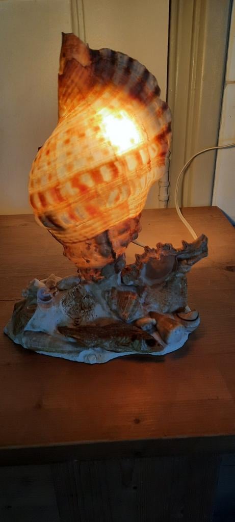Unieke schelpenlamp - Sfeervolle verlichting, Ophalen of Verzenden