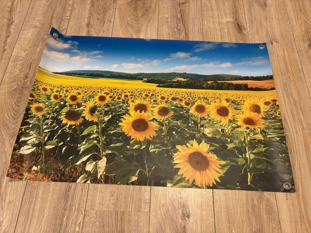 Tuinposter Zonnebloemenveld 90 x 60cm, Tuin en Terras, Tuinwanddecoratie, Ophalen of Verzenden, Nieuw