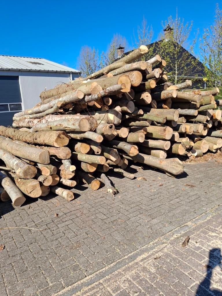 Haardhout  gemengd  stammen  eik ,es en els, Ophalen of Verzenden
