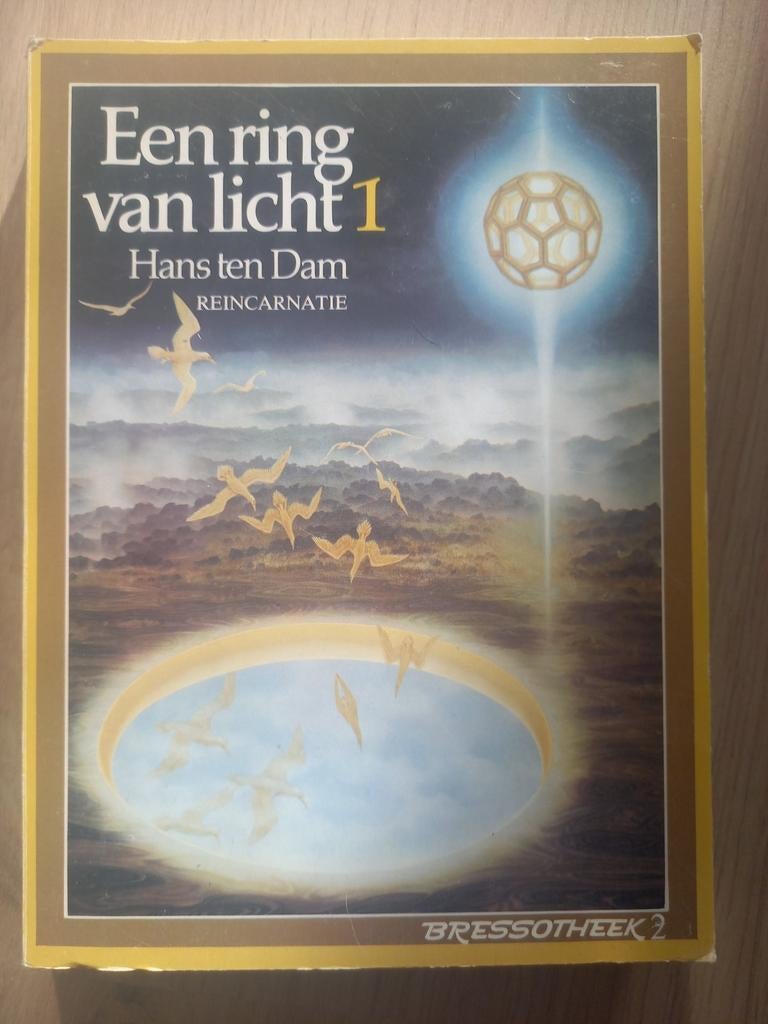 Een Ring van Licht 1 - Hans ten Dam - Reïncarnatie, Boeken, Achtergrond en Informatie, Spiritualiteit algemeen, Hans ten Dam, Ophalen of Verzenden