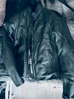 Motor jack dames motorjack jas Segura zwart leder leer, Motoren, Kleding | Motorkleding, Ophalen of Verzenden, Nieuw zonder kaartje