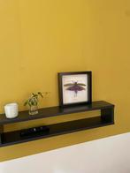 Opgezette reuzen sprinkhaan, Ophalen of Verzenden, Zo goed als nieuw, Opgezet dier