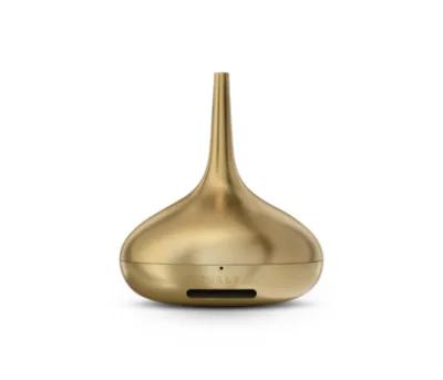 Rituals Genie Parfume Diffuser Goud, Ophalen, Zo goed als nieuw, Goud, Metaal