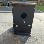 Nestblokken, Meerdere dieren, Parkiet