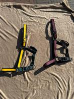 Luxe onverwoestbare canadese halsters in full xl en xxl, Ophalen of Verzenden, Nieuw