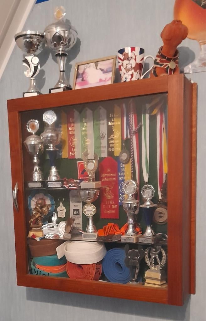 Prijzenkast / trofeeënkast / medaillekast, Ophalen