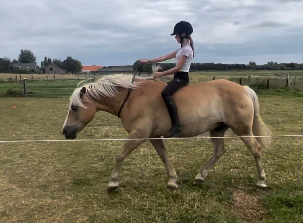 Pony privé rijles voor kinderen v.a 6 jaar, Ophalen, Nieuw