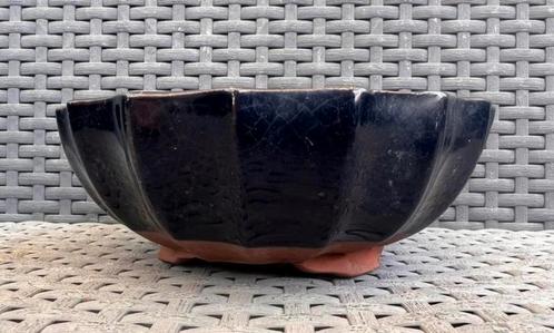 Bonsai schaal rond blauw geglazuurd aardewerk 17x6,5, Tuin en Terras, Bloempotten, Zo goed als nieuw, Aardewerk, Minder dan 25 cm