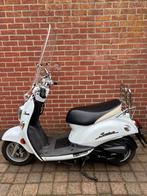 Kymco Sento 50/ km-stand 5895, Fietsen en Brommers, Scooters | Kymco, Ophalen, Gebruikt, Overige modellen, Benzine