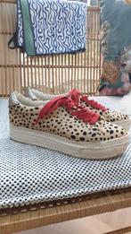 Sneakers, luipaardprint, maat 37, Bruin, Ophalen of Verzenden, Dolce Vita, Sneakers of Gympen