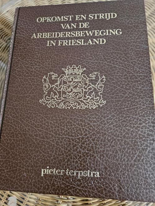 Opkomst en strijd van de arbeidersbeweging Friesland, Boeken, Geschiedenis | Stad en Regio, Zo goed als nieuw, 20e eeuw of later