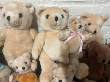 Stevige beren als honden knuffel beschikbaar voor biedingen